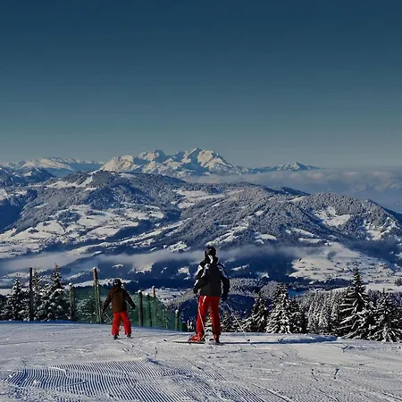 H+ Oberstaufen
